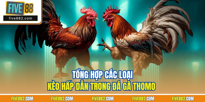 Tổng hợp các loại kèo hấp dẫn trong đá gà Thomo 